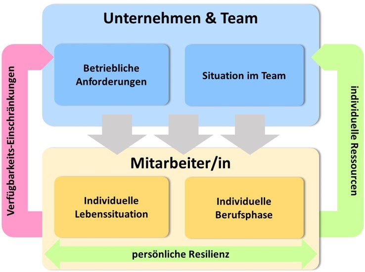 Lebensphasen und Team-Situation - Grafik